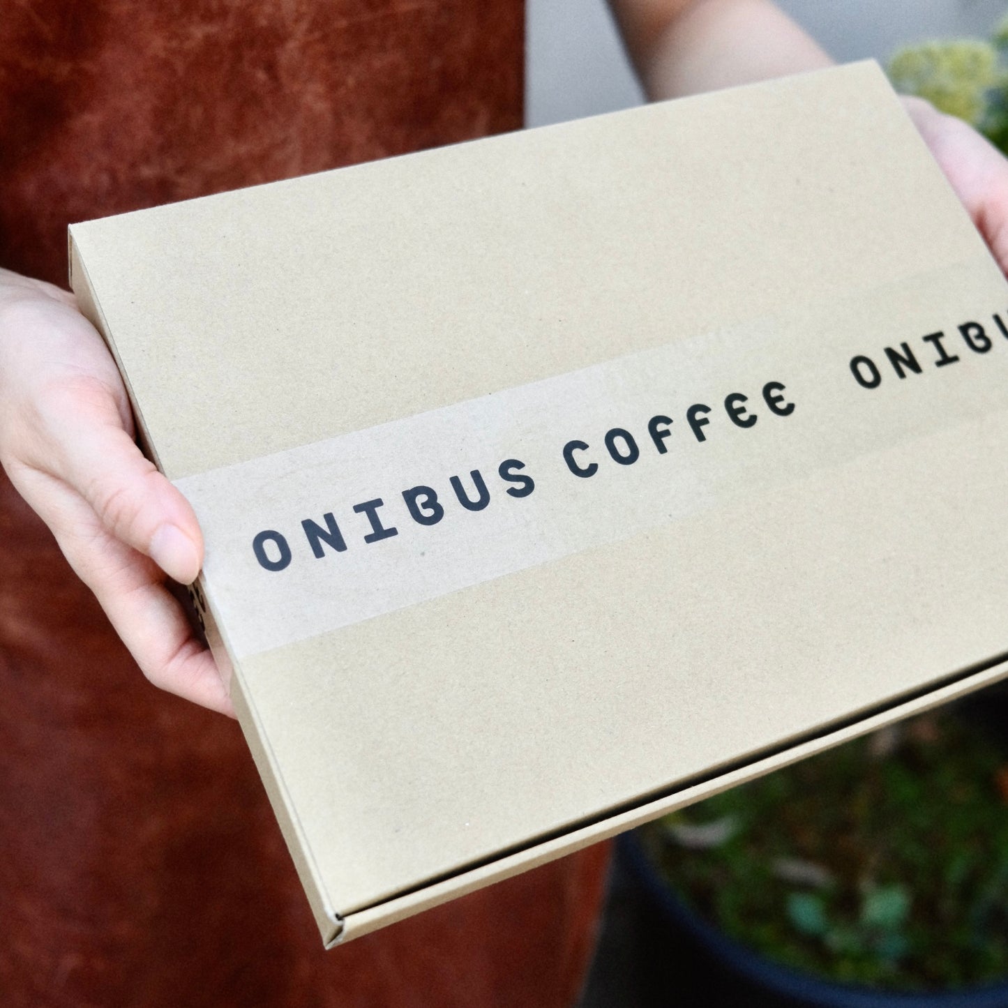 【送料無料】シングルオリジン定期便