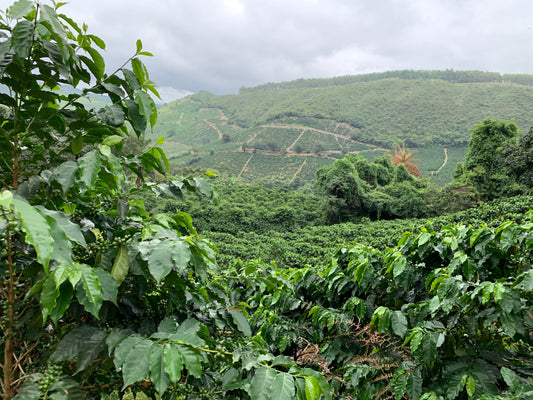 MICRO REGION SHOWCASE 参加レポート vol.2 〜農園視察(前編)〜