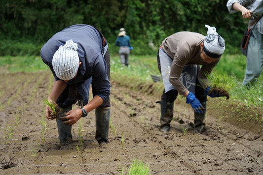 土に触れて、発酵を感じる！ONIBUSの社員研修